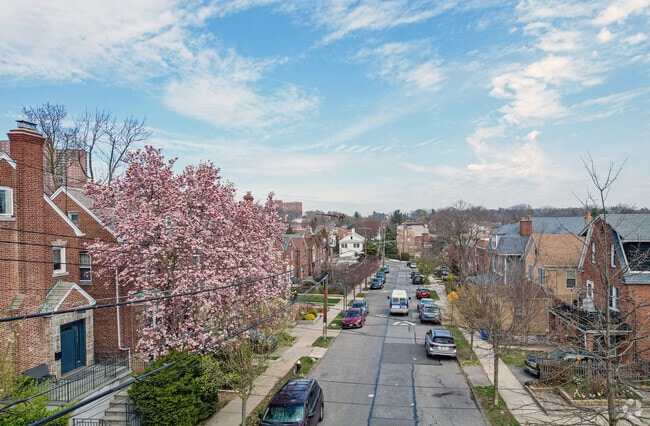 Beautiful tree-lined streets, bracketed by single-family homes, make up North Riverdale.