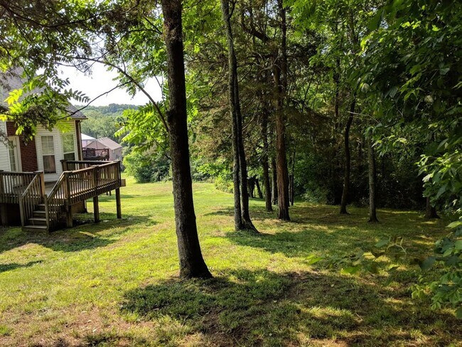 Building Photo - COMING SOON!!......King of The Hill – Your...