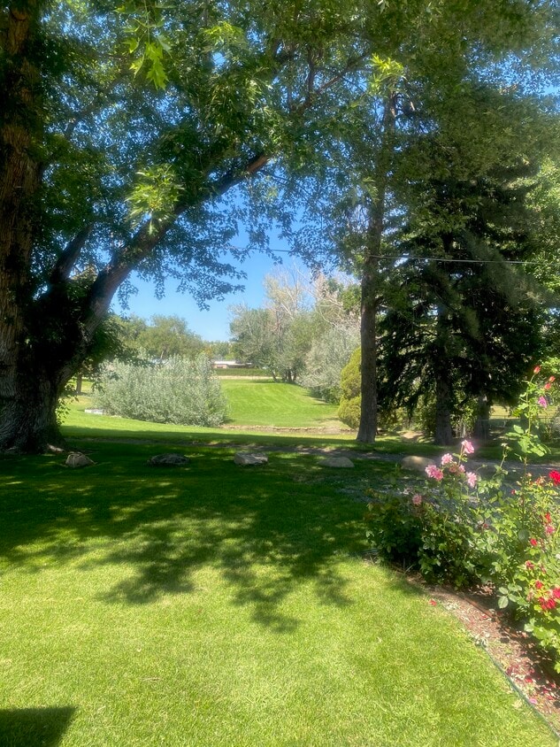 Primary Photo - 1446 Norman Park Dr