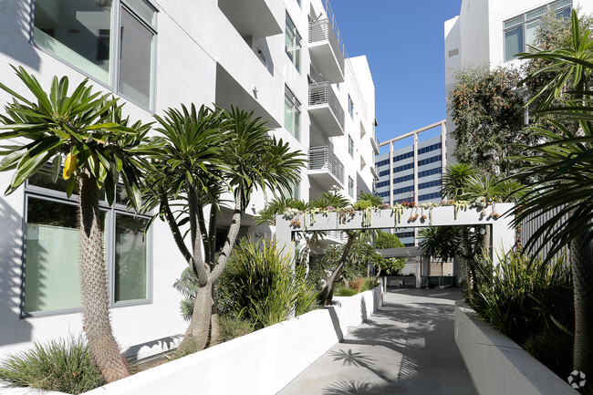 Courtyard - The Avenue Hollywood