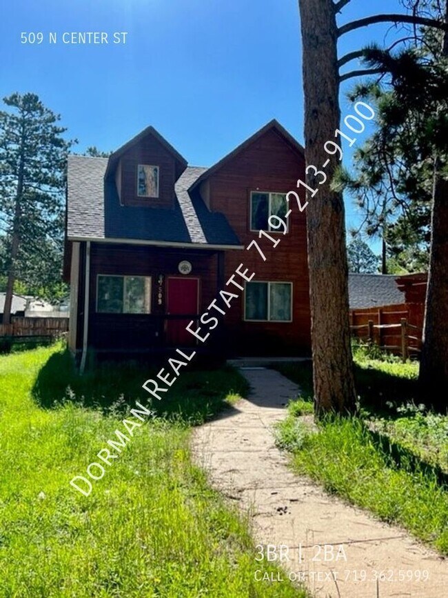 Foto del edificio - Center of Woodland Park with fenced yard