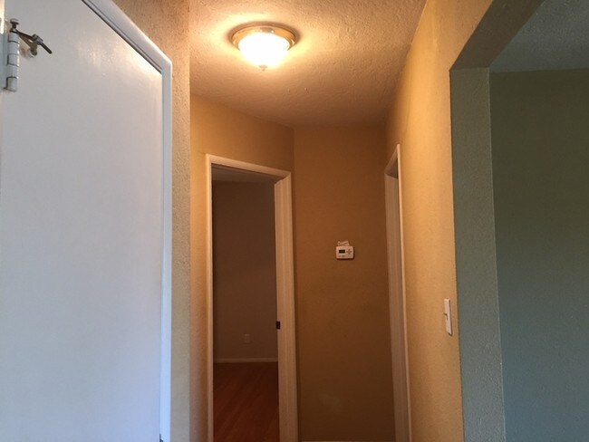 Foto del edificio - 3707 Sundale Rd