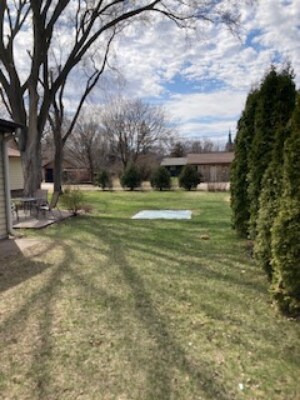 back yard - 27 2nd Ave SE