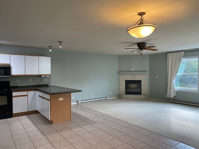 Chimenea de gas de doble combustible - 5185 Samuelson Rd