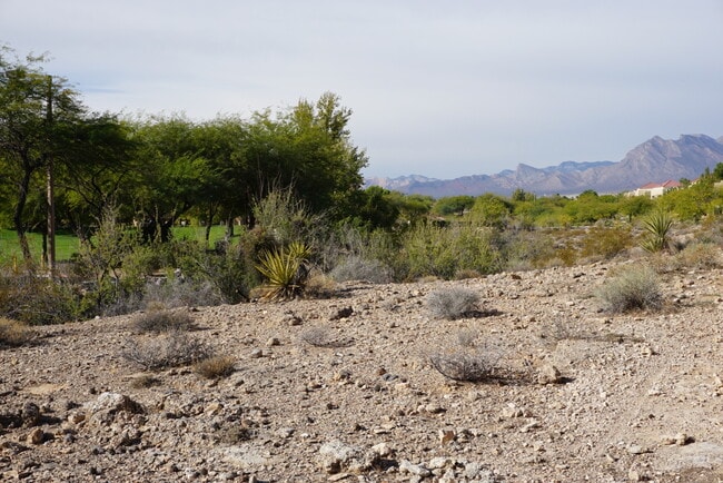 Building Photo - TOTALLY RENOVATED Summerlin Condo - Lake M...