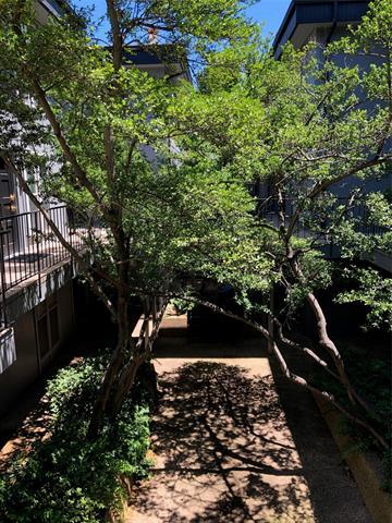 Foto del edificio - 4020 Holland Ave