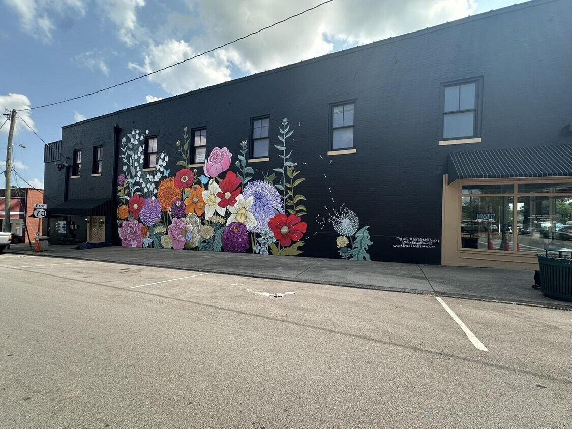Located inside Franklin Wall Mural building, public street parking - 102 East Cedar St.