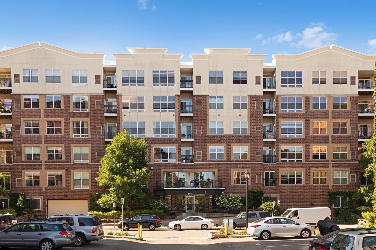 Primary Photo - 301 Oak Grove St