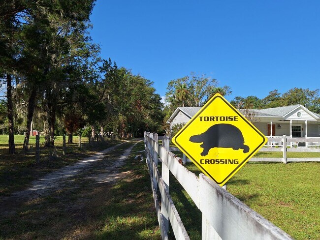 Building Photo - NEW SMYRNA BEACH MONTHLY WINTER RENTAL - P...