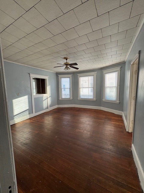 Building Photo - 64-64 Rowe Ave