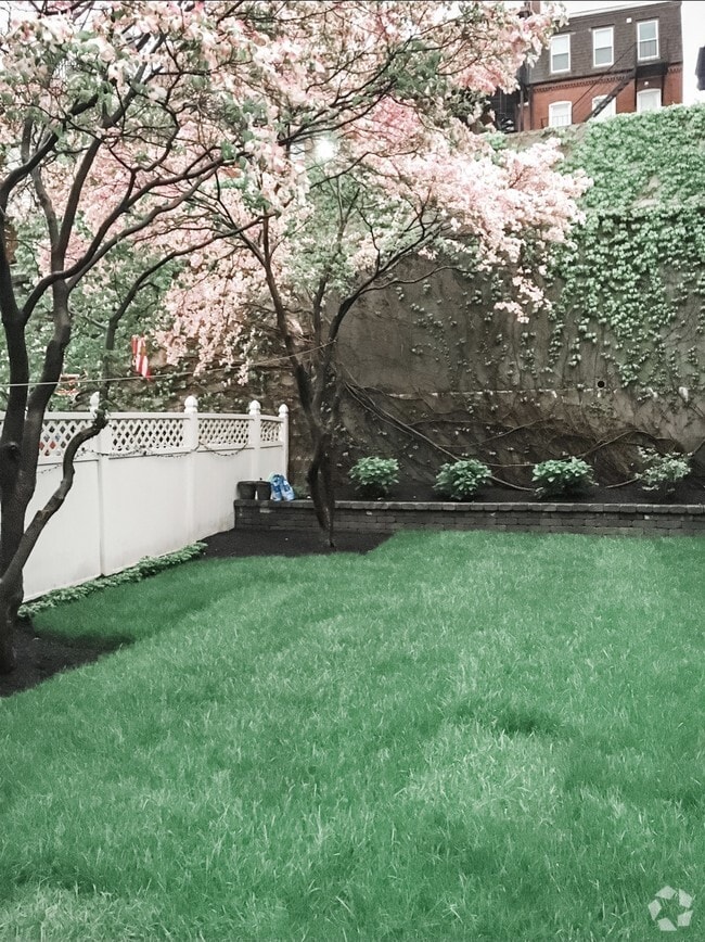 Rear yard (in spring) - 51 Emerson St