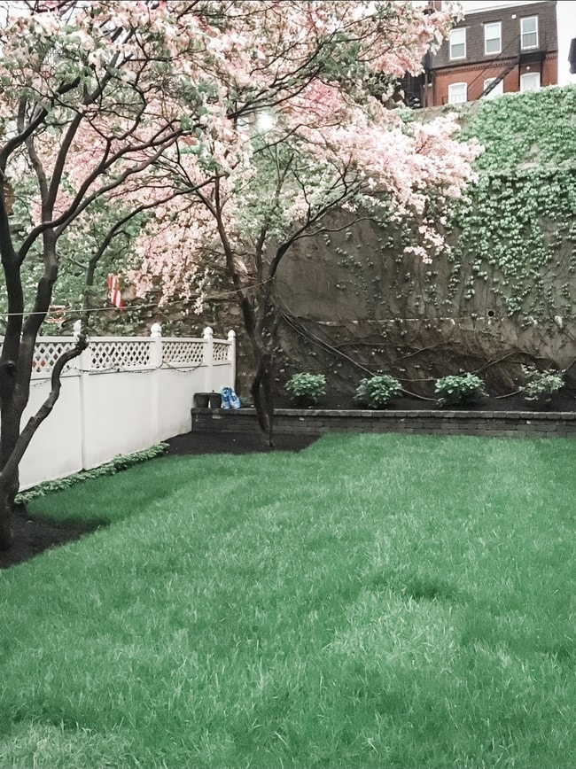 Rear yard (in spring) - 51 Emerson St