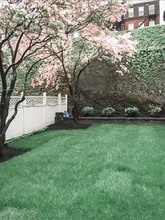 Rear yard (in spring) - 51 Emerson St