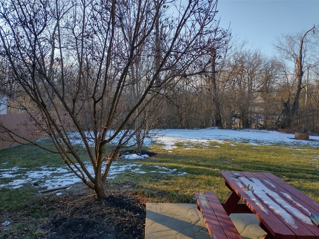 Patio trasero - 1445 Urlage Dr