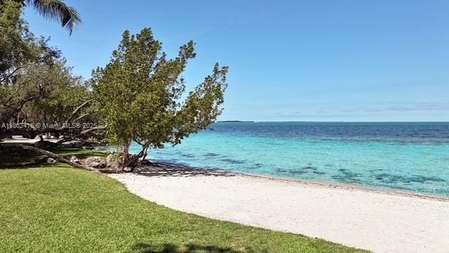 Primary Photo - 96000 Overseas Hwy