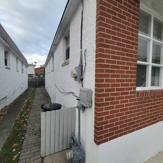 Side Yard - 6 Plum St
