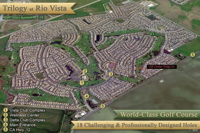 Building Photo - 139 Cedar Ridge Dr