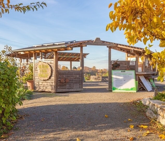The Beacon Food Forest contains the Edible Arboretum, the Berry Patch, the Nut Grove, and a community garden