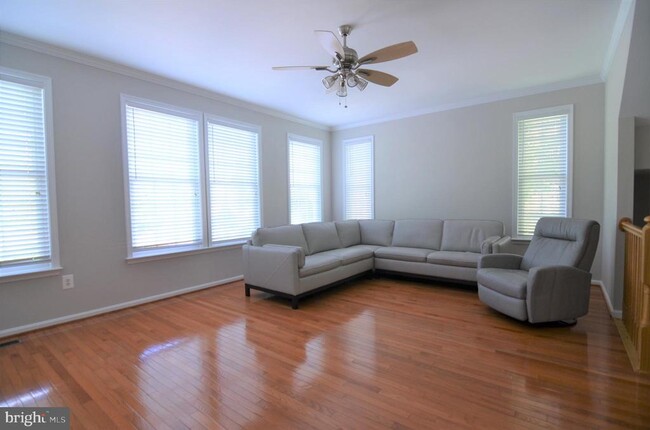Foto del edificio - 11023 Birchtree Ln