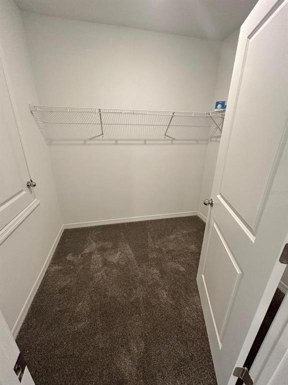 Building Photo - 1461 Austin St