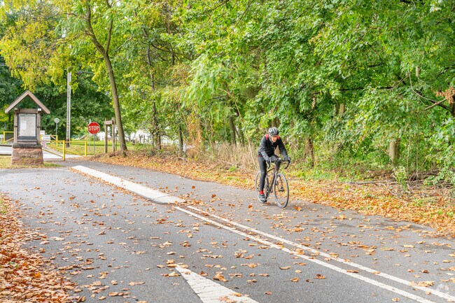 A cyclist rides through Myerstown’s leaf-covered streets during fall.