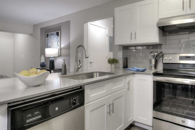 orion dishwasher review