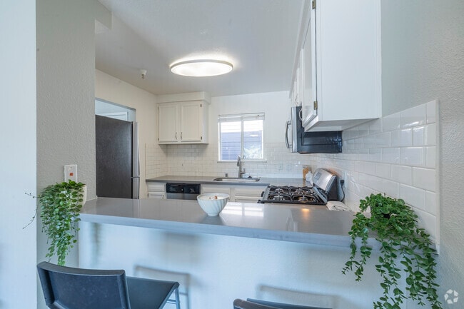 2X2 Platinum - 2 habitaciones, 2 baños - 1000 pies cuadrados - Cocina - The Terraces