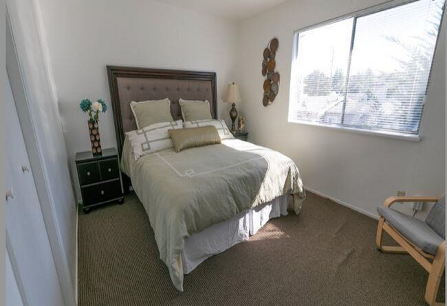 Bedroom 1 - 407 Meek Ave