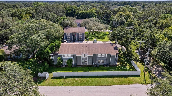 Experimente una vida tranquila en Greenview Apartments, ubicado en un oasis natural. - Chateau of Tampa