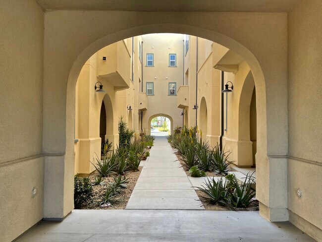 Courtyard - 5301 Calle Rockfish