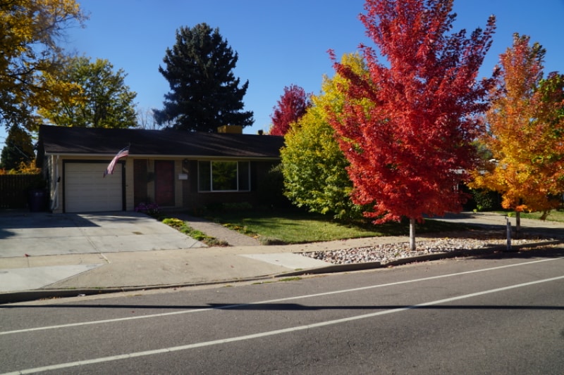 Primary Photo - 2627 S Lowell Blvd