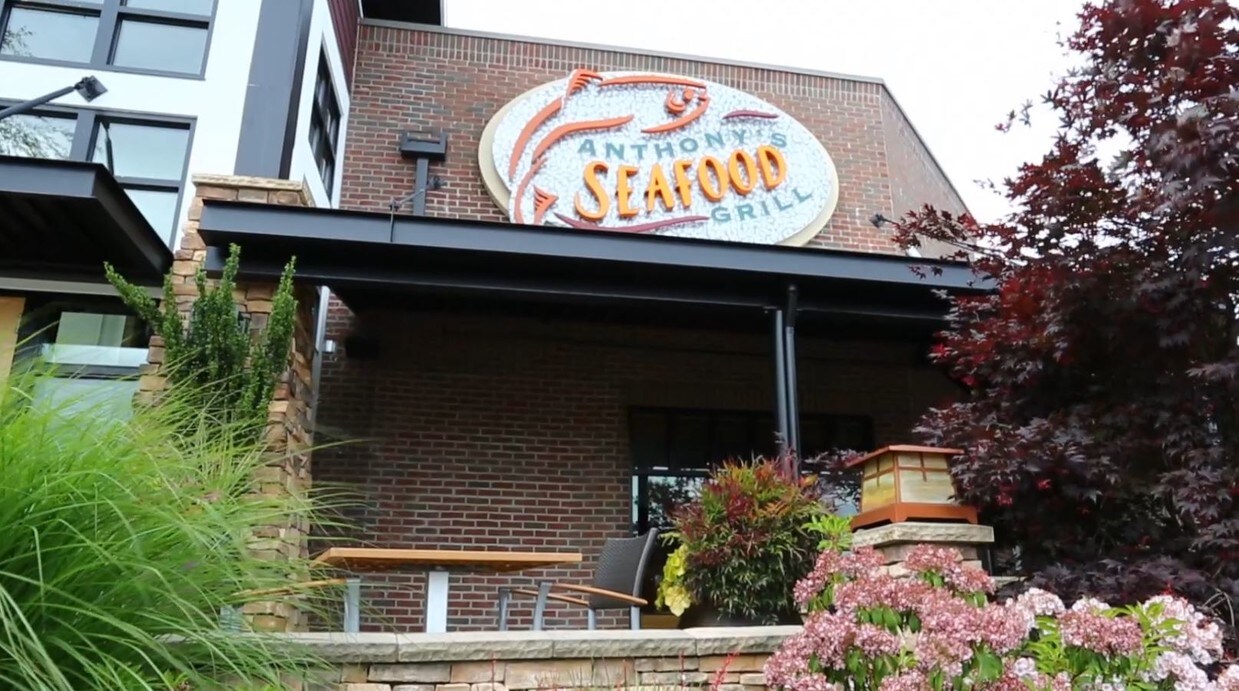 Cedar Terrace Apartments Rentals Mountlake Terrace, WA