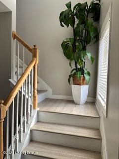 Foto del edificio - 919 Woodland Ridge Cir