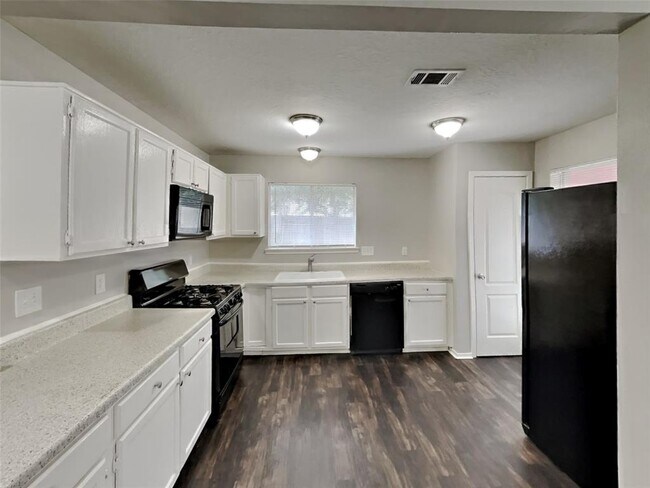 Building Photo - 16738 Sky Blue Ln