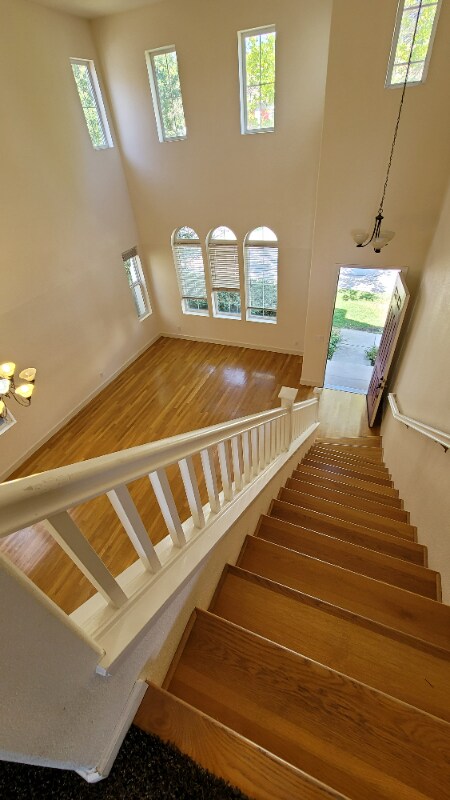 Foto del edificio - 15 Sunny Cove Dr