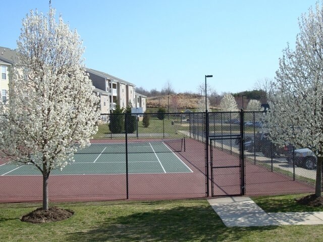 Cancha de tenis - Malvern Lakes