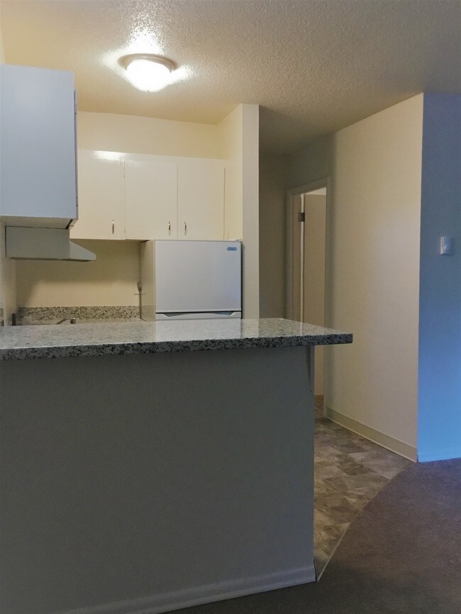 1HABITACIÓN, 1BAÑO: COCINA/ENCIMERAS DE GRANITO! - Cedar Manor
