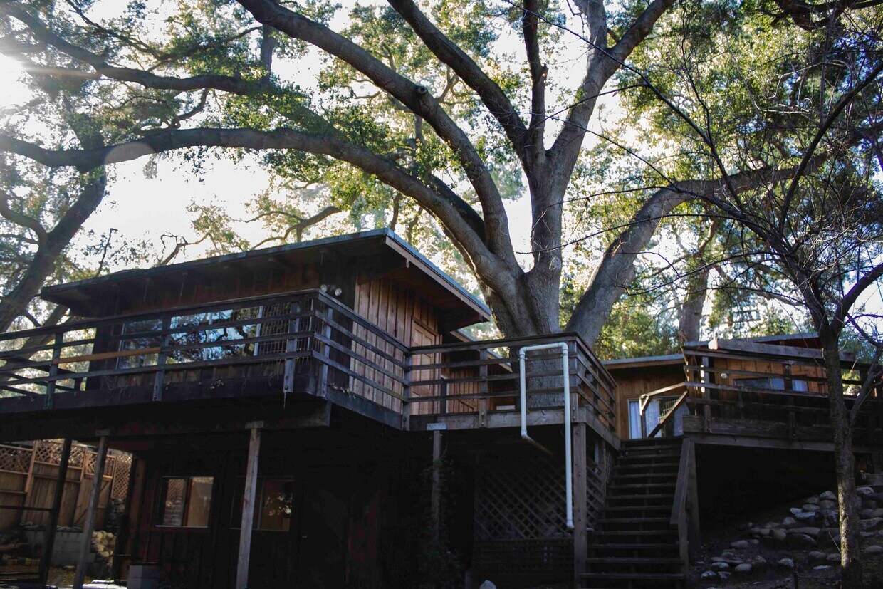 Back - 1336 Old Topanga Canyon Rd