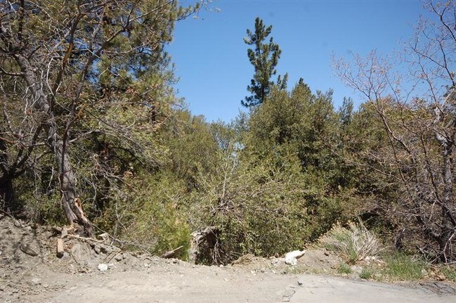 Building Photo - 5590 Acorn Dr