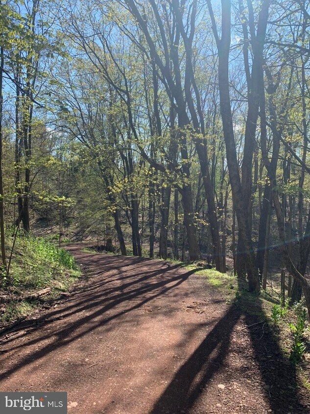 Foto principal - 132 E Dark Hollow Rd