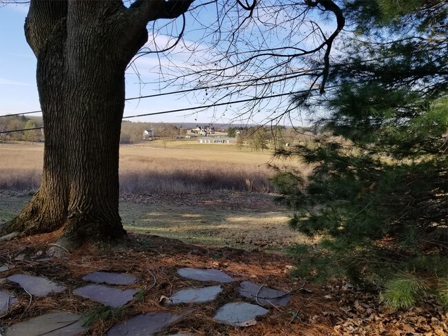 Building Photo - 923 College Ct