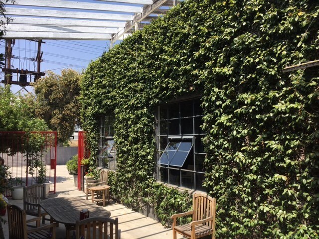 Common Area Courtyard - 2888 E Walnut St
