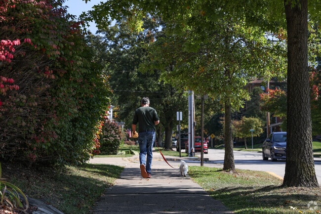 Take your furry friend for a stroll around the neighborhood in Oakmont.