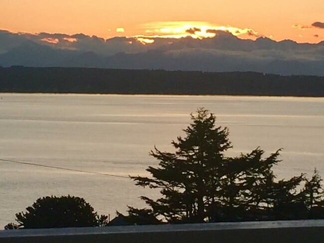 Building Photo - Gorgeous Lake View Condo