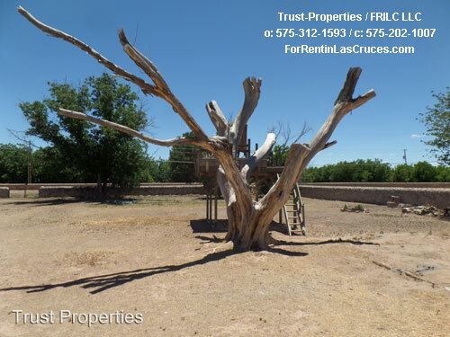 Foto del edificio - 4 br, 3 bath House - 220 Astor Dr
