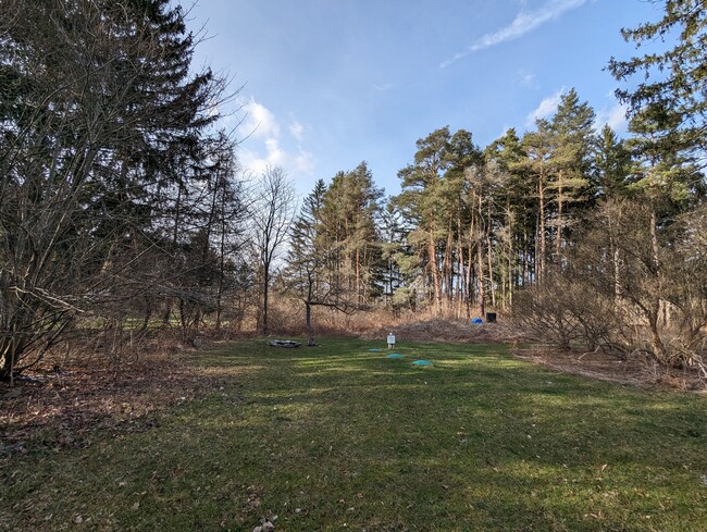 Yard facing North - 1264 Ellis Hollow Rd