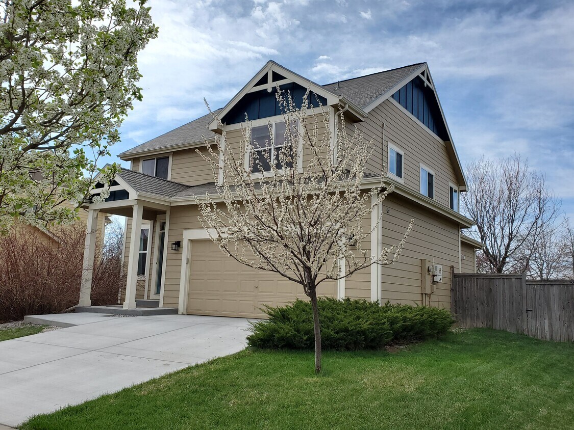 Primary Photo - 2703 Brush Creek Dr