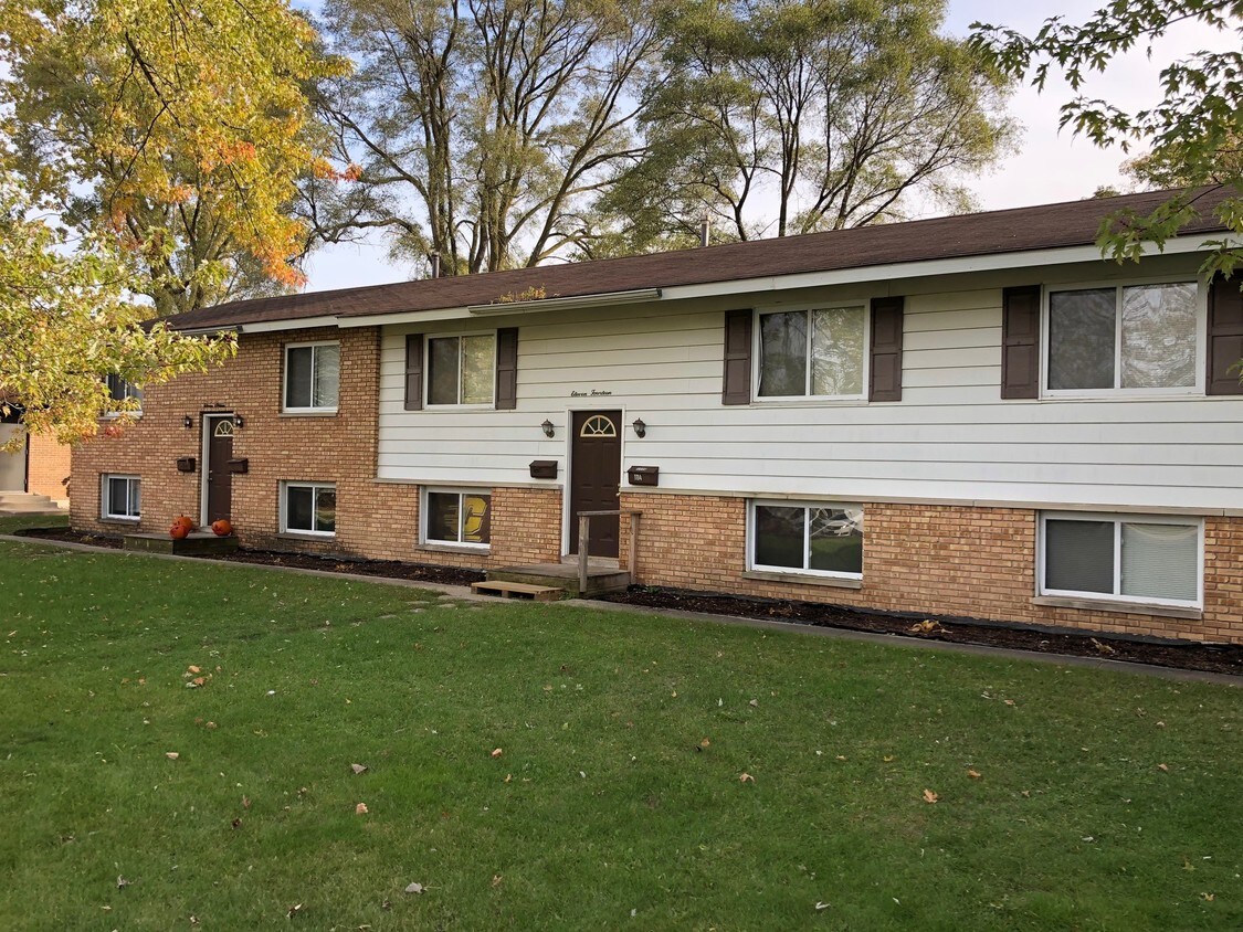 1110 E Palmer St, Mount Pleasant, MI 48858 Apartments in Mount