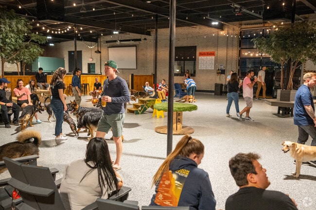 Bring your furry friends to make more friends at the Park-9 Dog Bar in Everett.