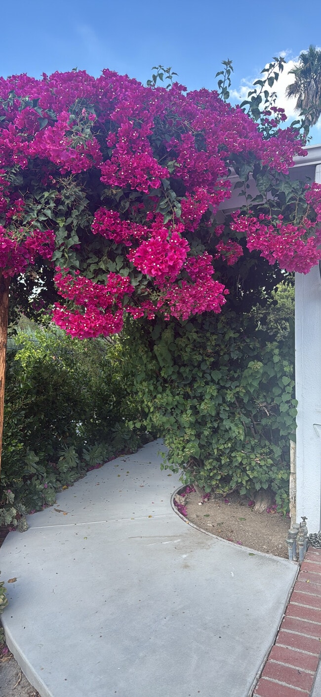 Foto del edificio - 5626 Mason Ave